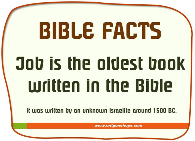 Interesting Facts About the Bible | Only One Hope