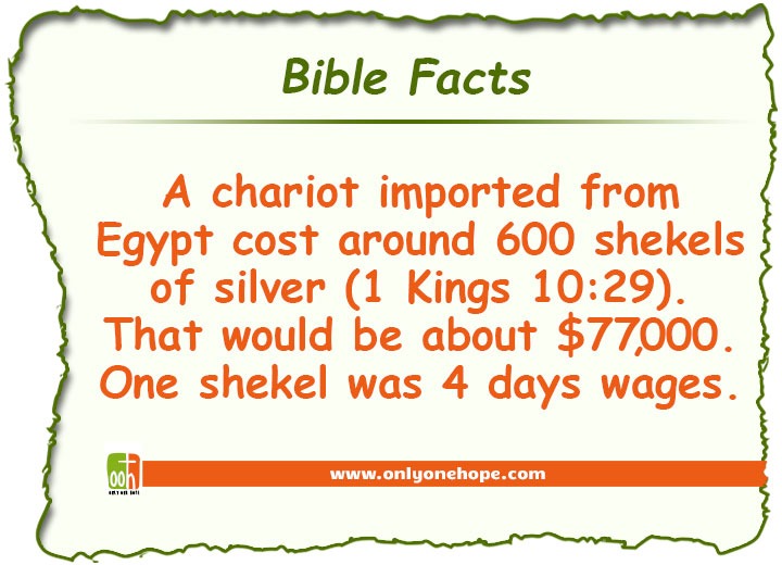 A chariot imported from Egypt cost around 600 shekels of silver (1 Kings 10:29). That would be about $77,000. One shekel was 4 days wages.