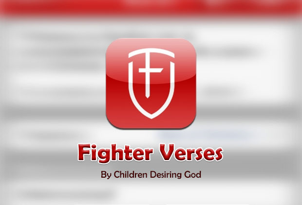 Fighter Verses