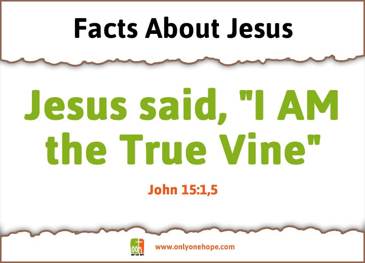 Jesus said, "I AM the True Vine"