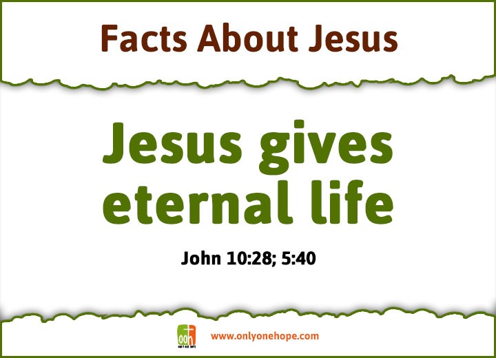 Jesus gives eternal life