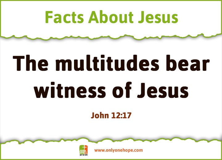 The multitudes bear witness of Jesus