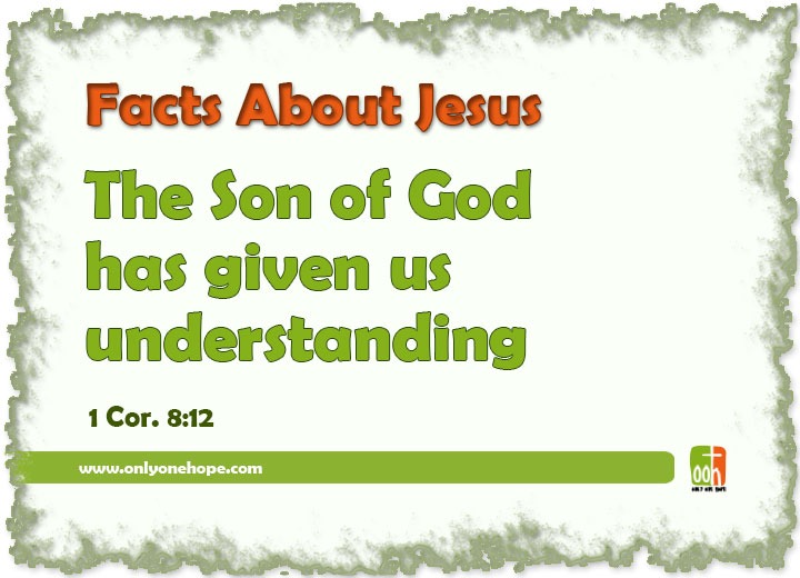 The Son of God has given us understanding