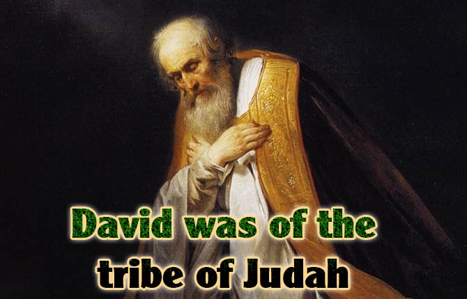 David-was-of-the-tribe-of-Judah