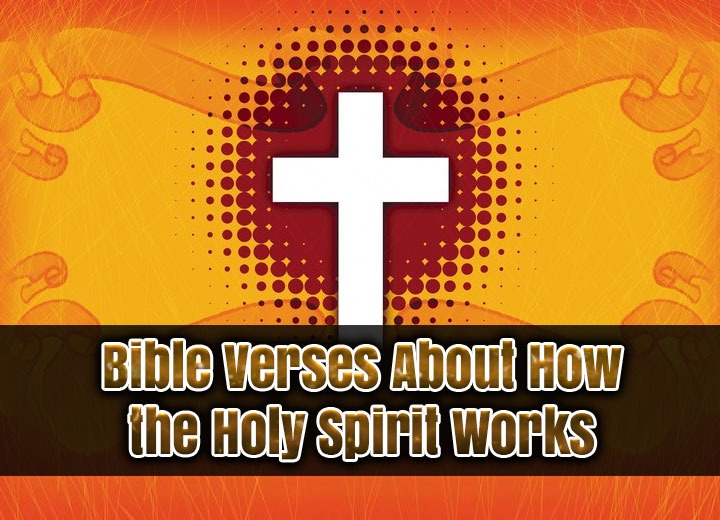 Bible Verses About How the Holy Spirit Works