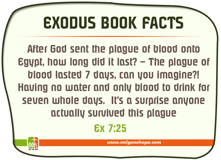 After God sent the plague of blood onto Egypt, how long did it last? – The plague of blood lasted 7 days, can you imagine?! Having no water and only blood to drink for seven whole days. It’s a surprise anyone actually survived this plague