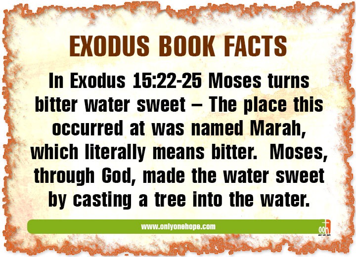In Exodus 15:22-25 Moses turns bitter water sweet – The place this occurred at was named Marah, which literally means bitter. Moses, through God, made the water sweet by casting a tree into the water.