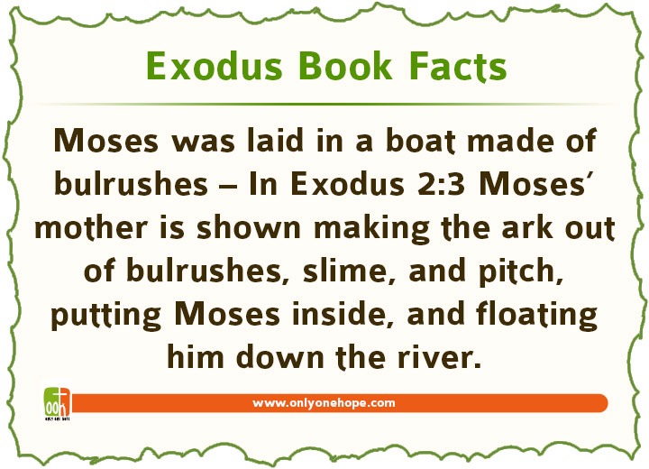 Moses was laid in a boat made of bulrushes – In Exodus 2:3 Moses’ mother is shown making the ark out of bulrushes, slime, and pitch, putting Moses inside, and floating him down the river.