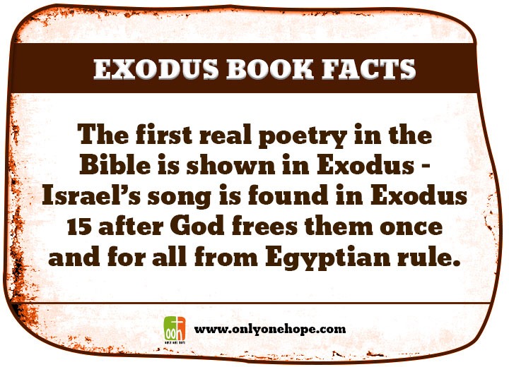 The first real poetry in the Bible is shown in Exodus – Israel’s song is found in Exodus 15 after God frees them once and for all from Egyptian rule. 