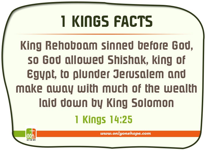 Kings-FACTS-1