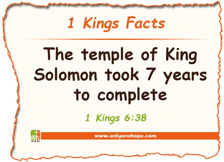Kings-FACTS-8