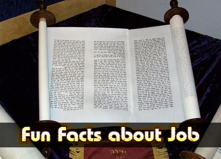 Fun Facts about Job