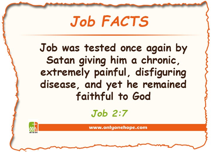 Bible trivia on the book of job