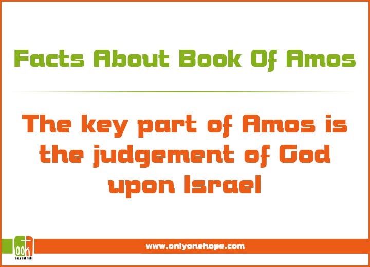 Fun Facts About The Book Of Amos Only One Hope