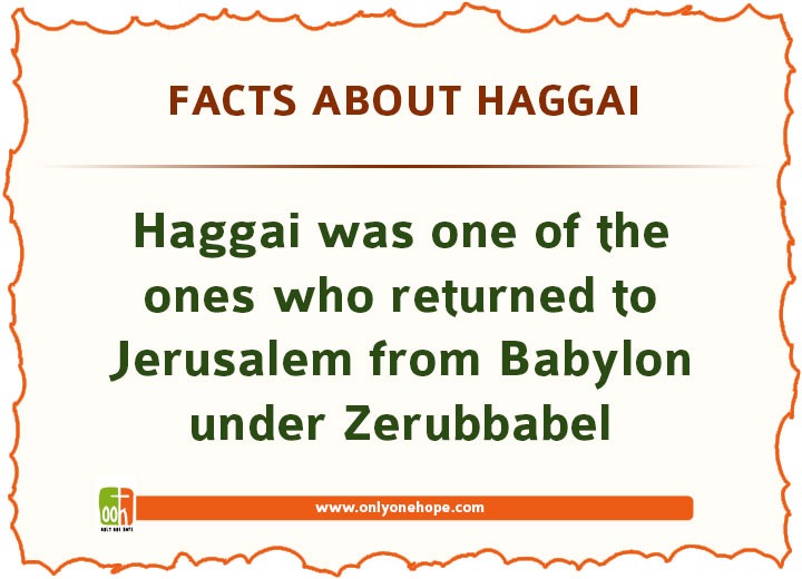 Facts About Haggai | Only One Hope - Part 4
