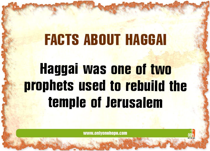 Facts About Haggai
