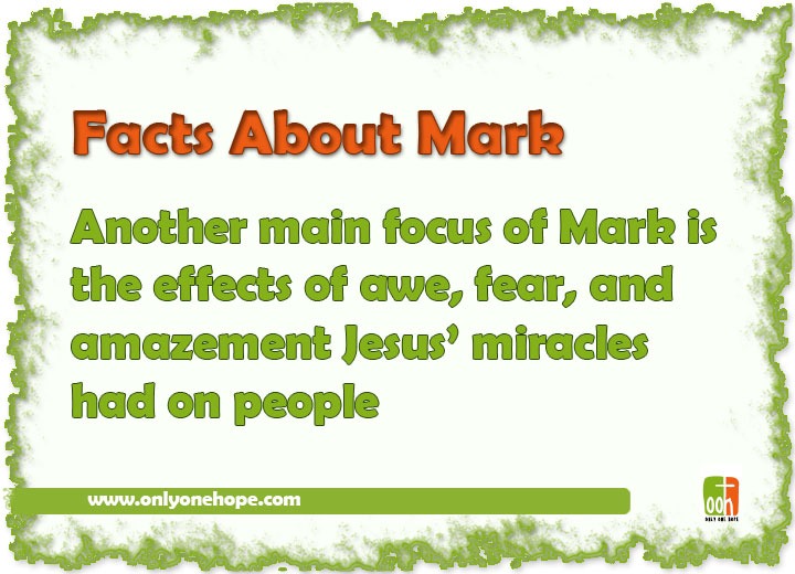 mark-facts-10
