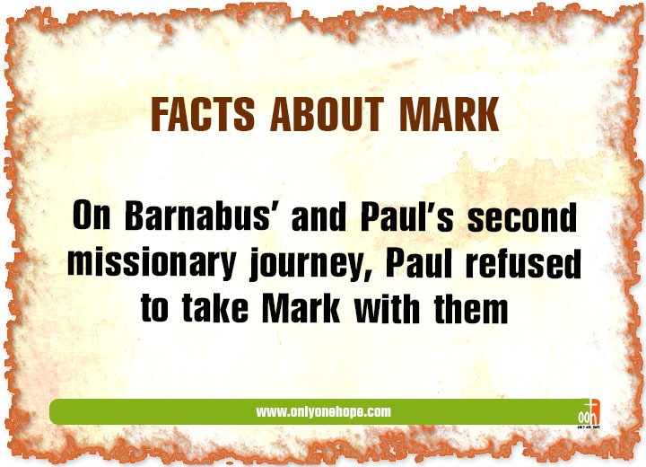 mark-facts-4