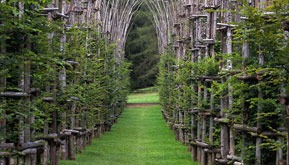 Italy, Bergamo: Cattedrale Vegetale (The Tree Cathedral)