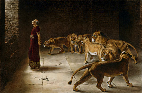 Introduction to Daniel   lion