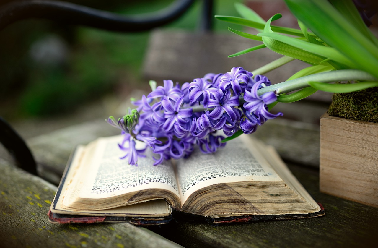 Devotions in the Garden | Only One Hope